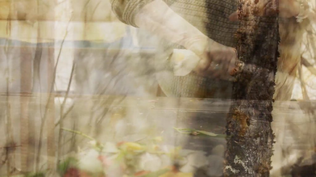 overlapping visuals of a tree and working hands wrapping a bundle of fabric